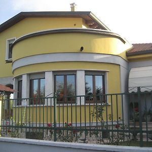 B&B Samuel