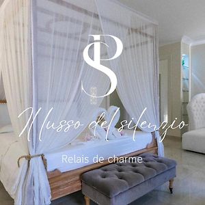 Il Lusso Del Silenzio
